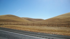 the hills are aliiiive, with the sound of traffic