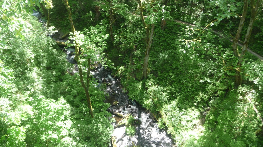 Beautiful Waterfall