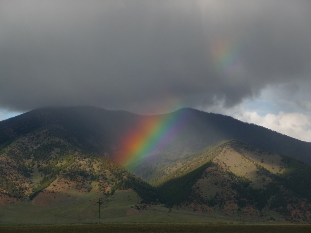 Tiny pretty rainbow