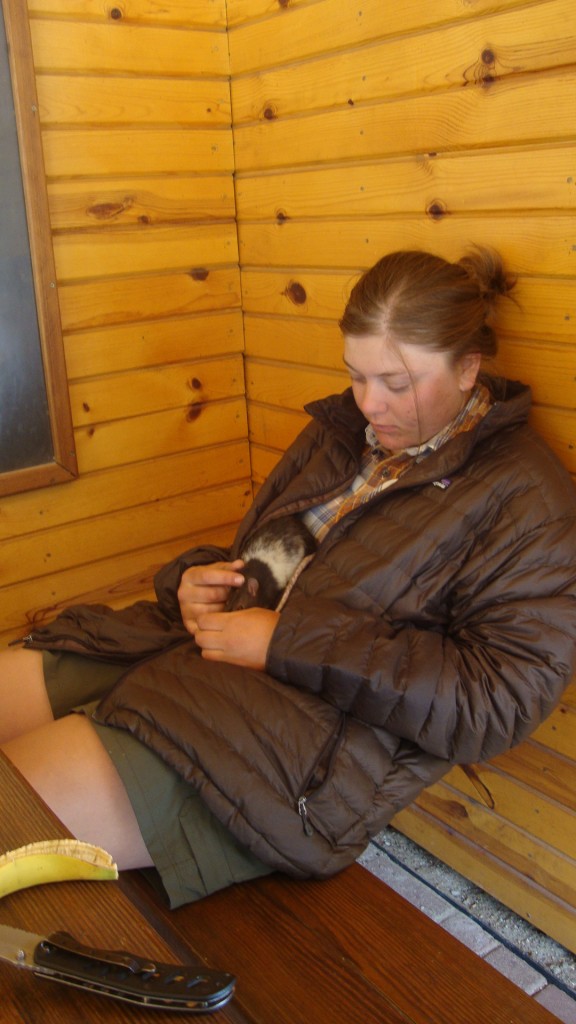 We stopped for lunch and rat snuggles at one of the other shelters earlier in the day.