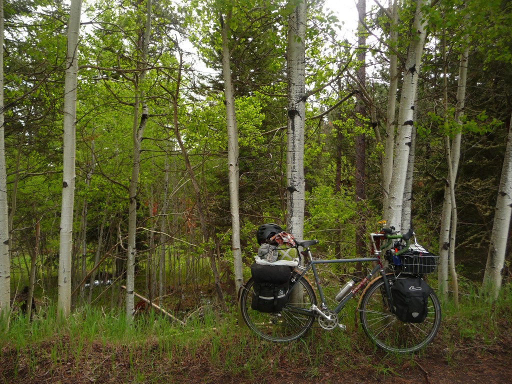 glamour shot of the hunq on the trail