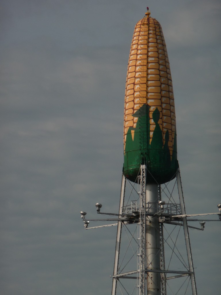 Rochester corn water towner