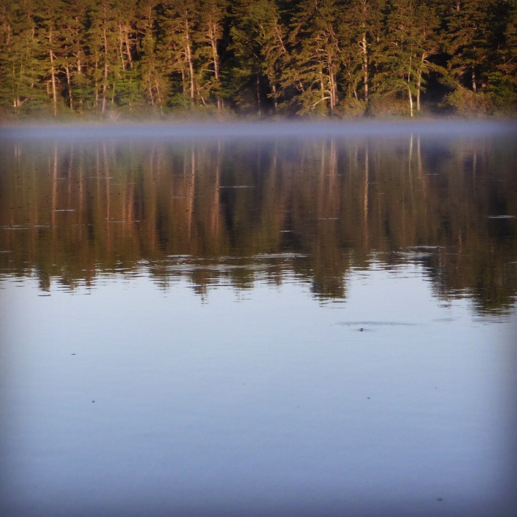 Waking up in Masschusettes