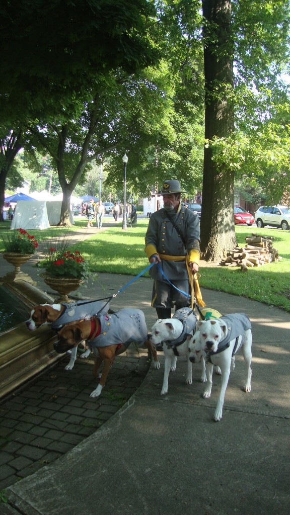 Confederate soldier walking dogs
