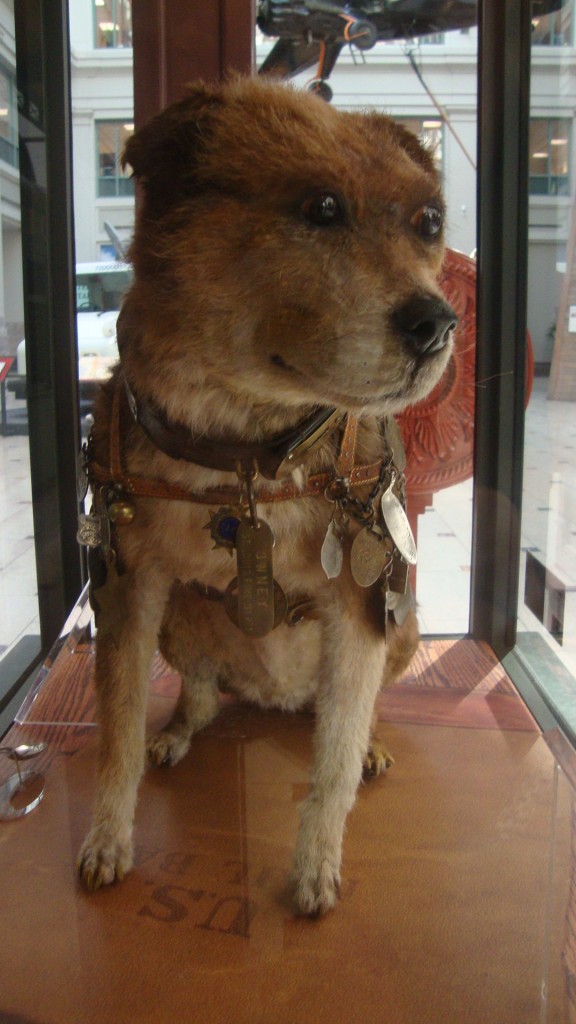 The real live... errr, dead... Owney.