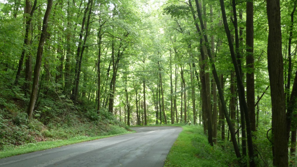 so nice that you get two pictures of it.