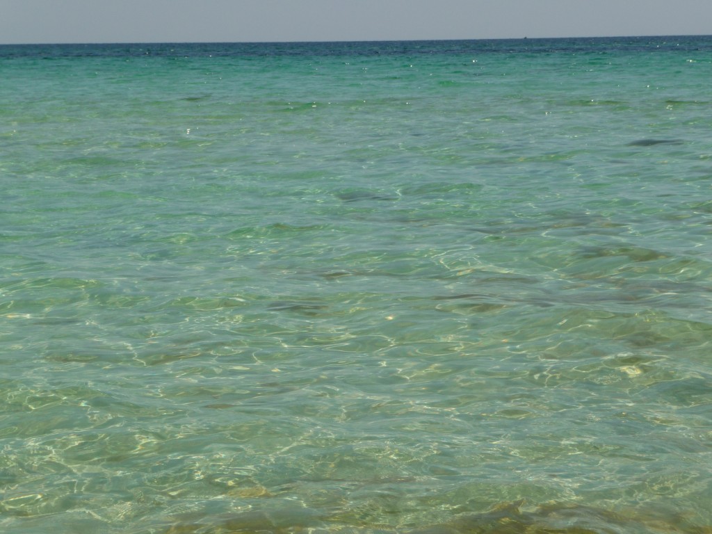 Navarre, on the Gulf