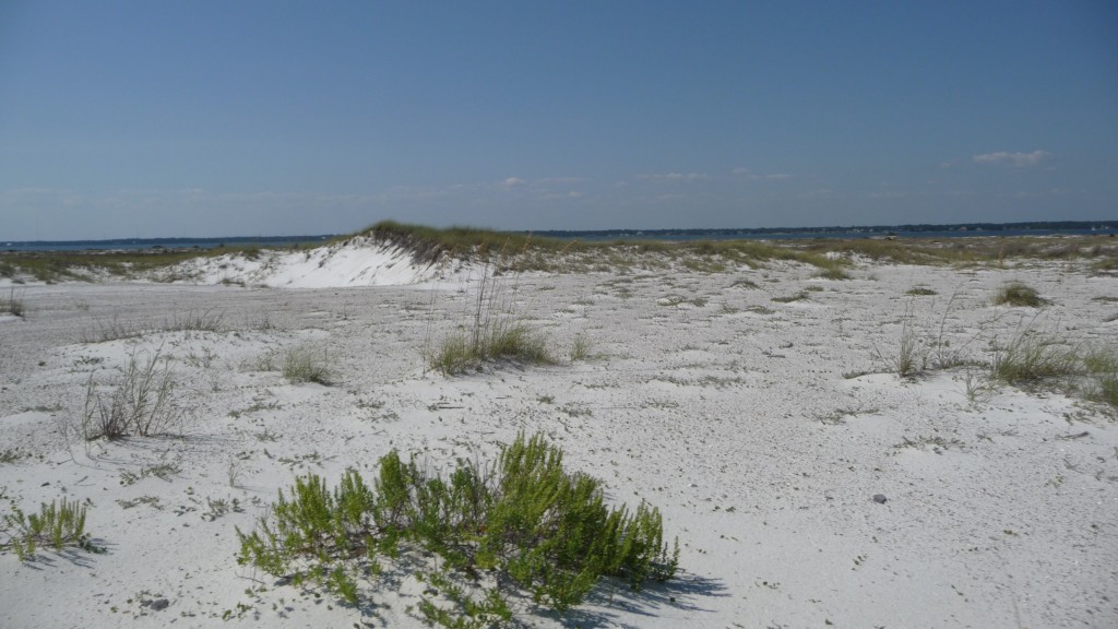 Moonscape Beach