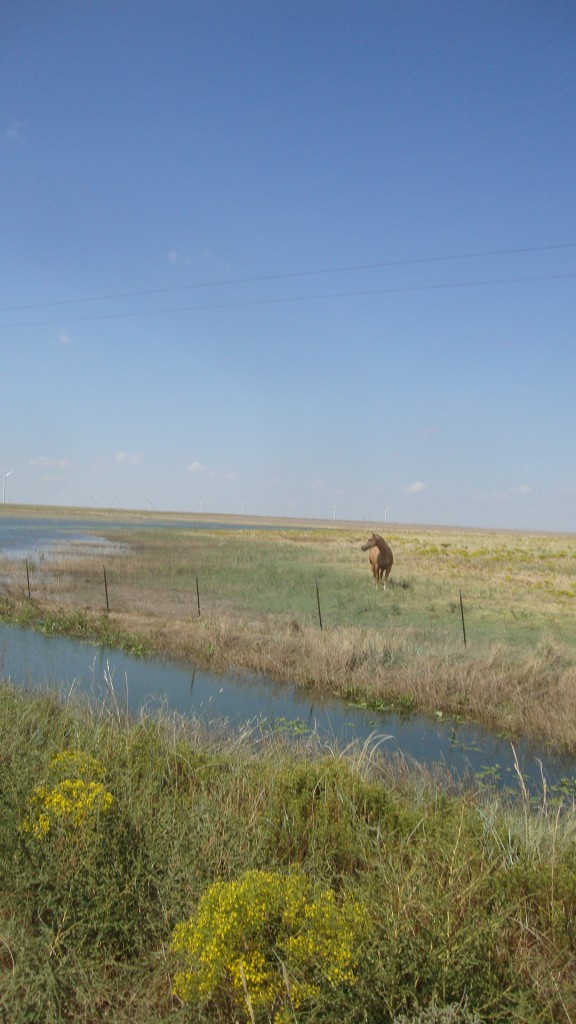 you think you're so fancy... and beautiful... you're right. dang it.