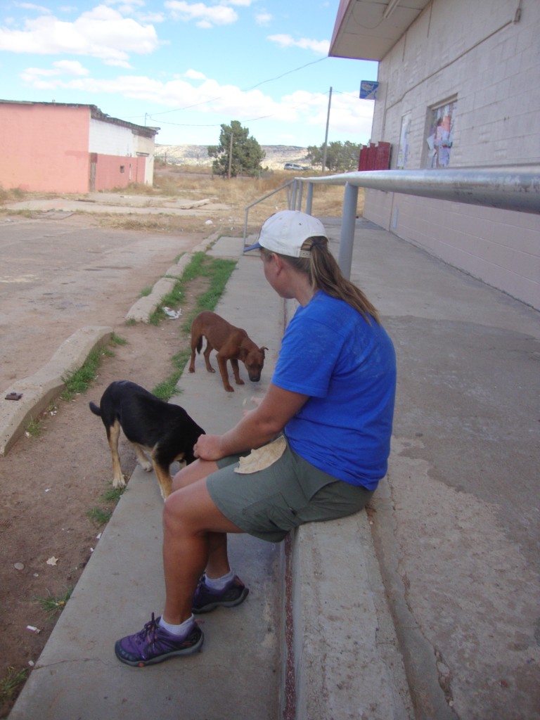 must love dogs.