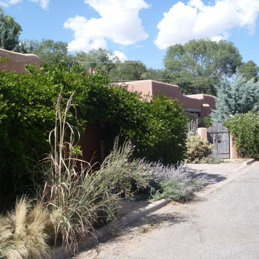 Our digs
