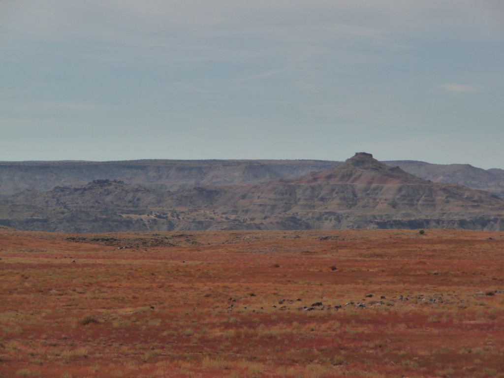 the desert rocks.