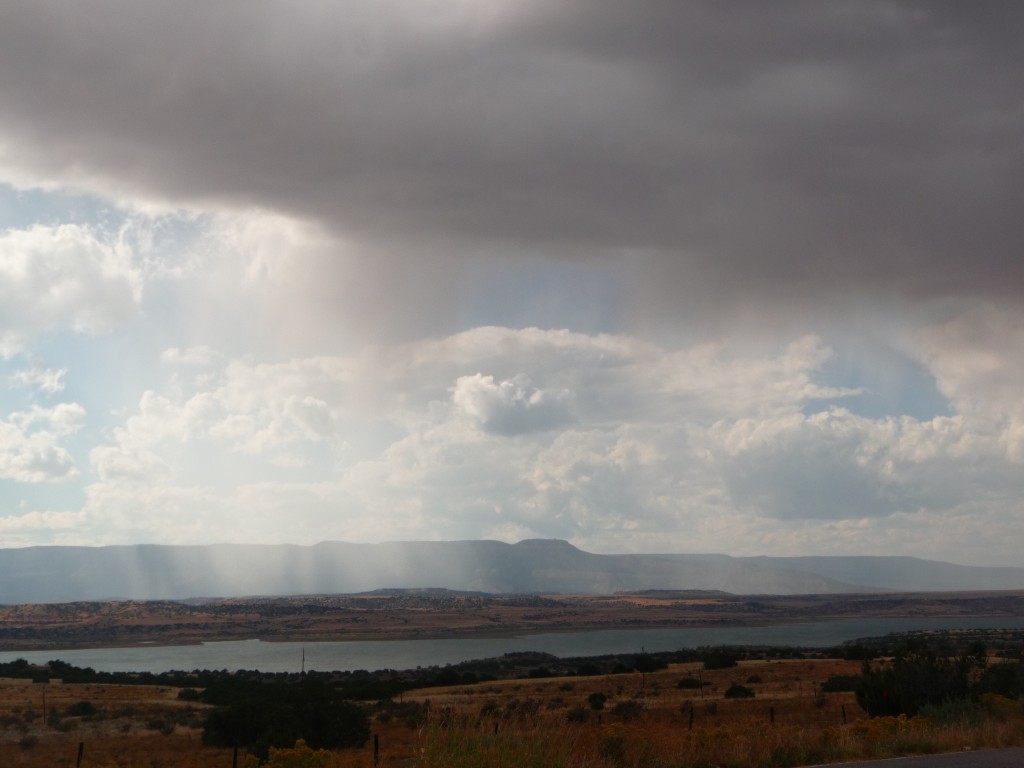 Desert rain