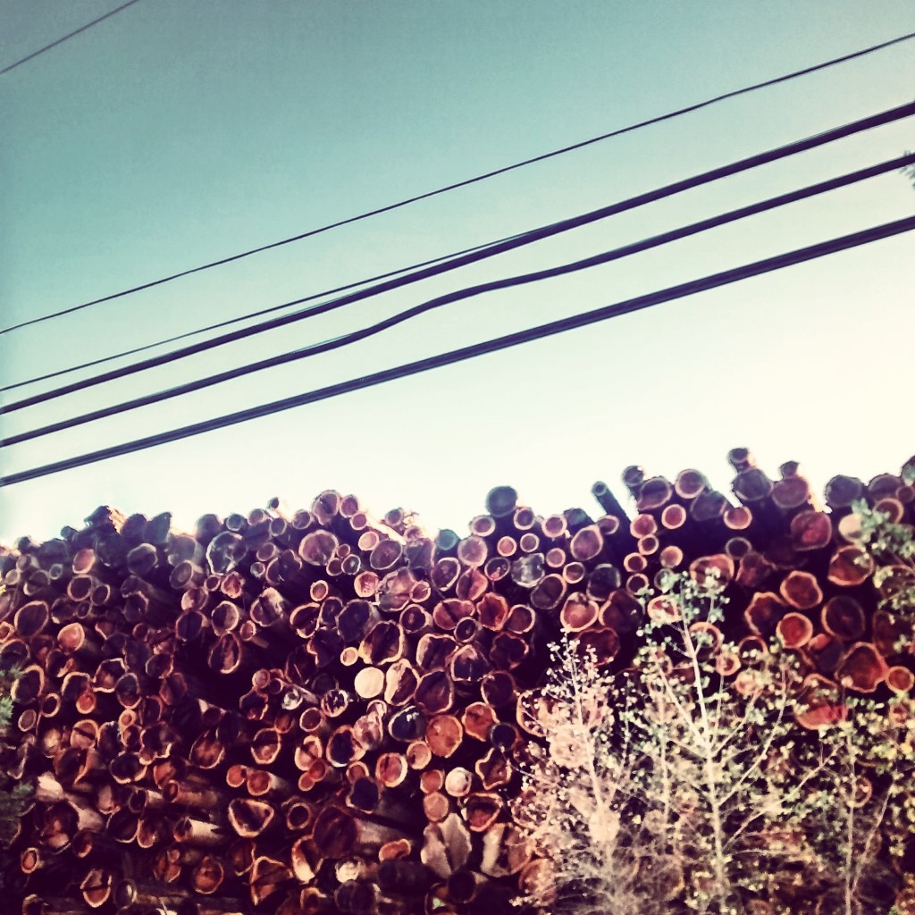 redwood lumberyard