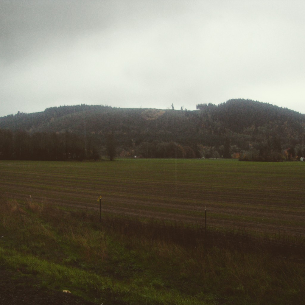 the hills were smiling