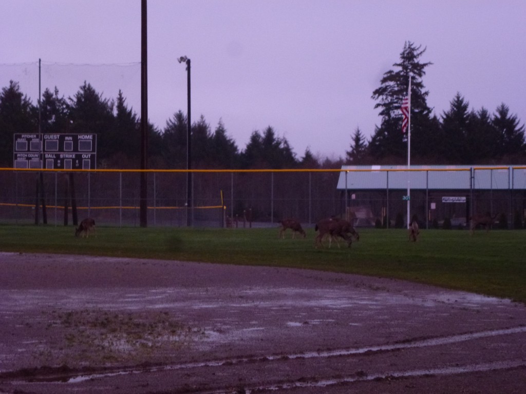 Sorry for ugly picture. It was dark. and far.