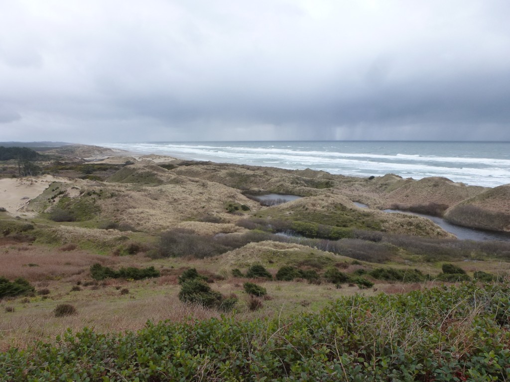 Looking south onto our new landscape